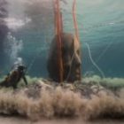 Comment se rendre à l’éco-musée sous-marin de Cannes : les masques